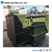 Customized Oil Immersed Transformer with Radiator Tank